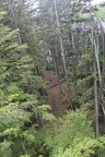 IMG 0069
