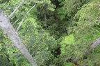 IMG 0070