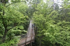 IMG 0076