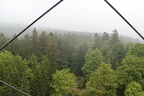 IMG 0077