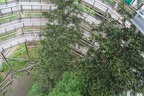 IMG 0078