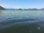IMG 5861