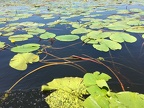 IMG 5872