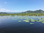 IMG 5876