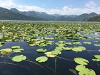 IMG 5889