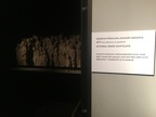 IMG 5972